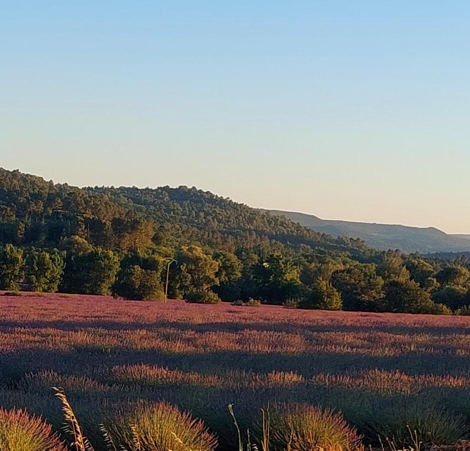 Appartement Roussillon รูสซียง ภายนอก รูปภาพ